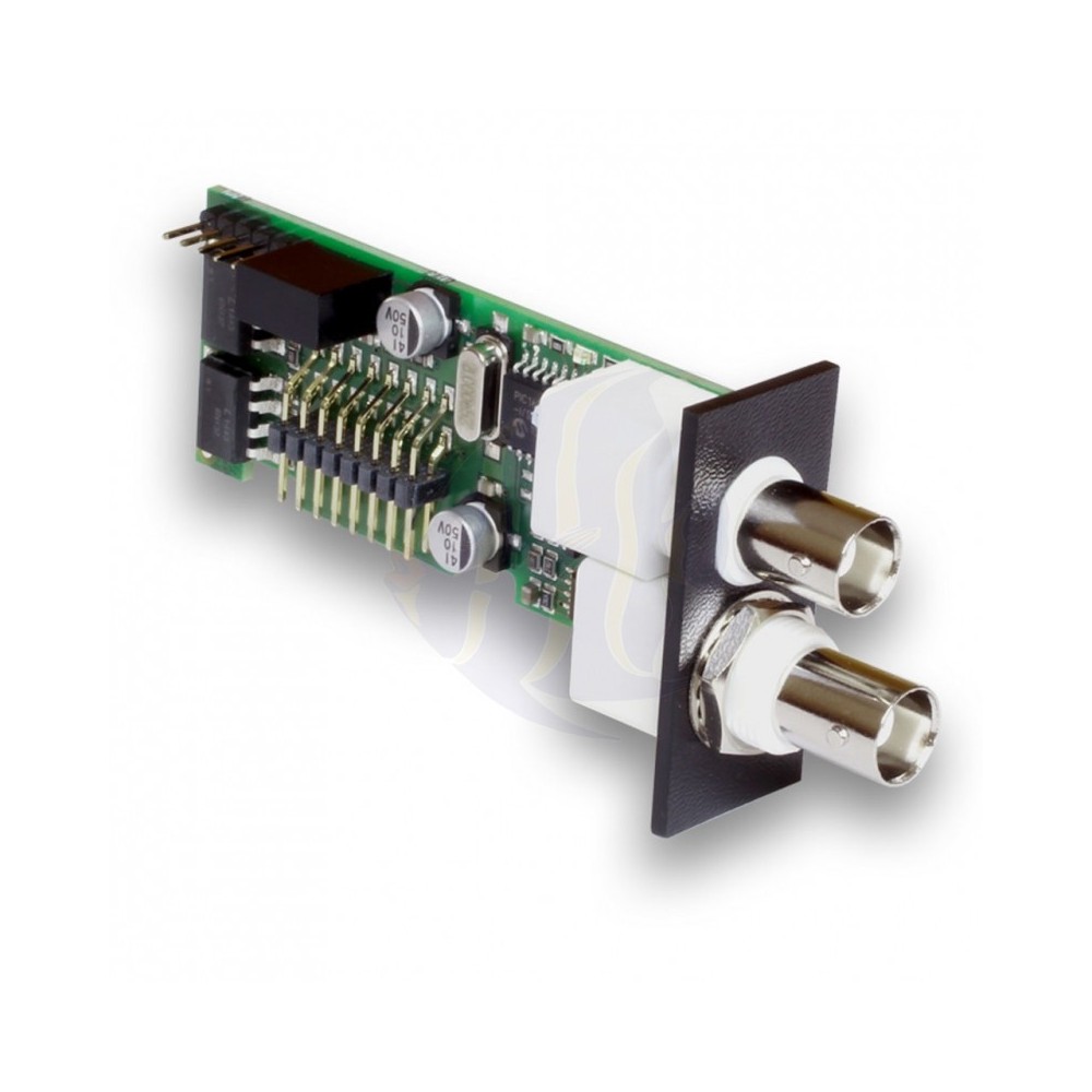 GHL Plm-Conds-Refox - Multi Card