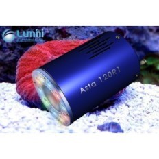 Luminiesta asta 120r1