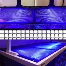 A set of universal cutouts Red Sea Net Cover