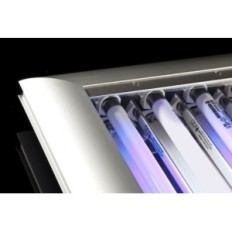 Giesemann Matrixx II 1550 6x80 DIMM