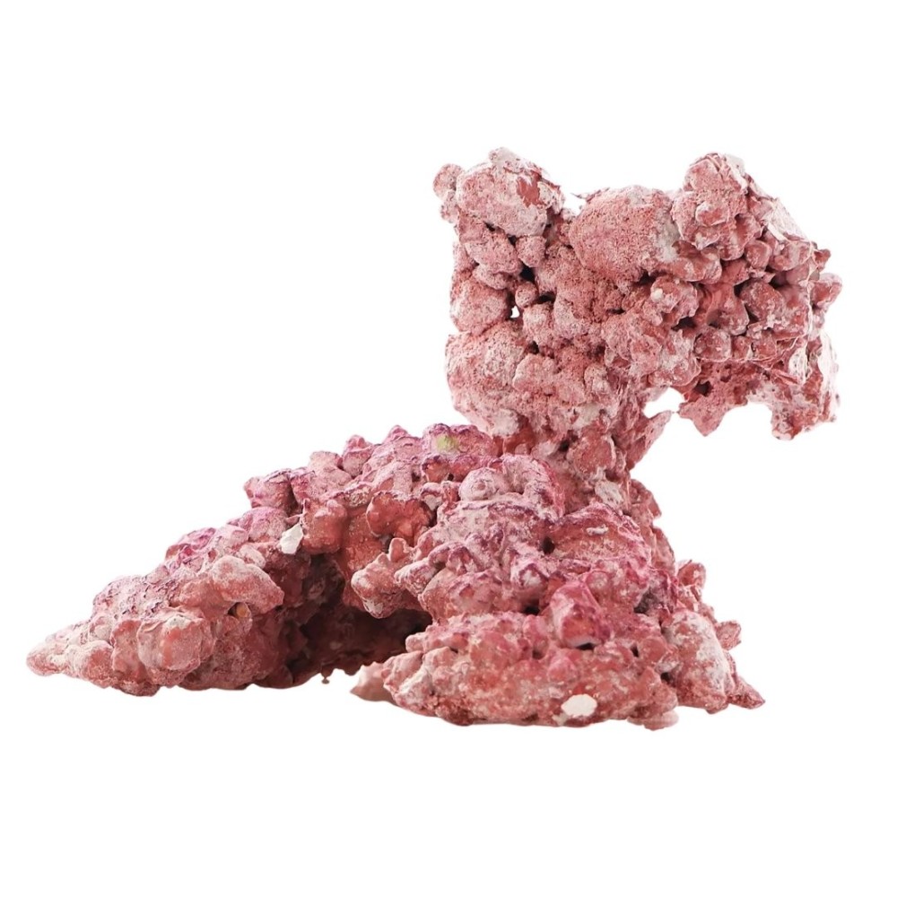 Aquaforest Rock 1kg Rock synthétique pour Aquarium marin