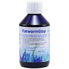 Korallen-zucht flatworm legura 500 ml - priprema za čaroliju