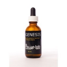 PolyPlab-genesisbakteerit (50 ml)