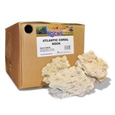 Φύση του ωκεανού Βάση Rock 1 Kg