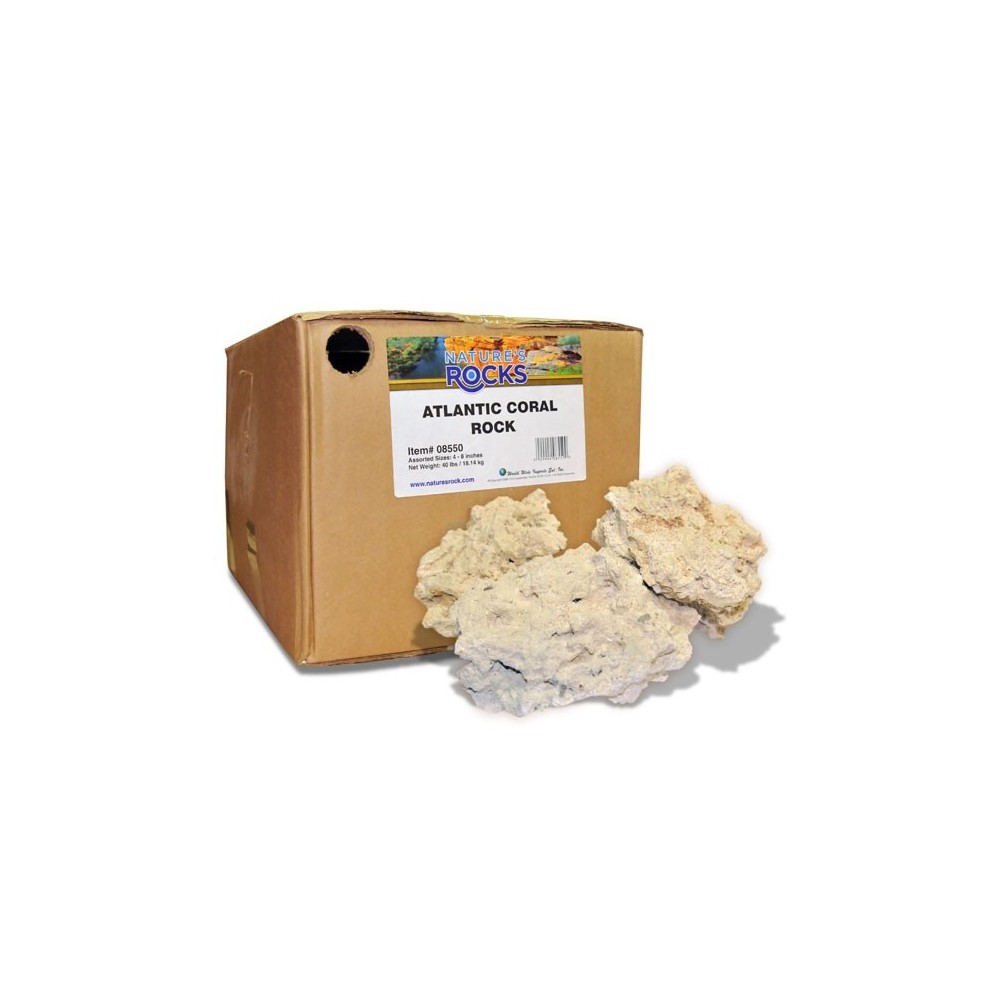 Luonto`s Ocean Base Rock 1 kg