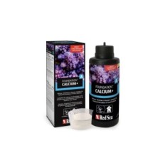 Ίδρυμα Ερυθράς Θάλασσας Ένα Πάρομ