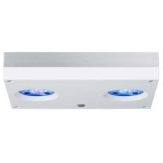 AQUA apšvietimo LED apšvietimas Hydra 32 HD (~ 90W) - balta