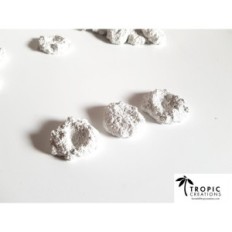 Galios stendai, koralai 50pcs