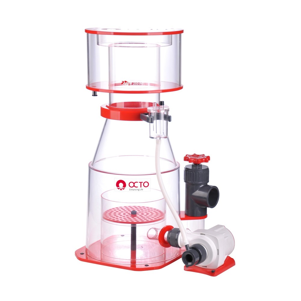 Regal protein Skimmer 250-INT OCTO