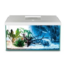 AQUAEL AQUARIUM SET LEDDY PAP 60LED-päev ja öö