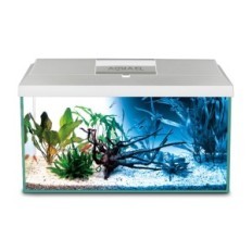 Aquael Aquarium Set Leddy Pap 60led Day a noc