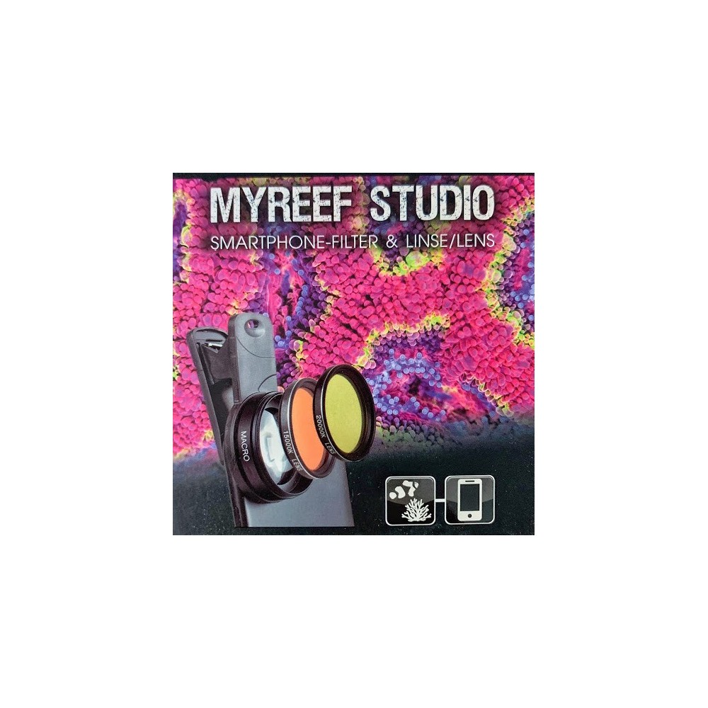 Ark Myreef Studio
