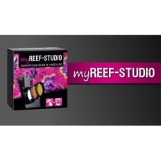 Ark Myreef Studio