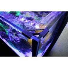 Bananen-Aquarium-Fishguard - Gitter