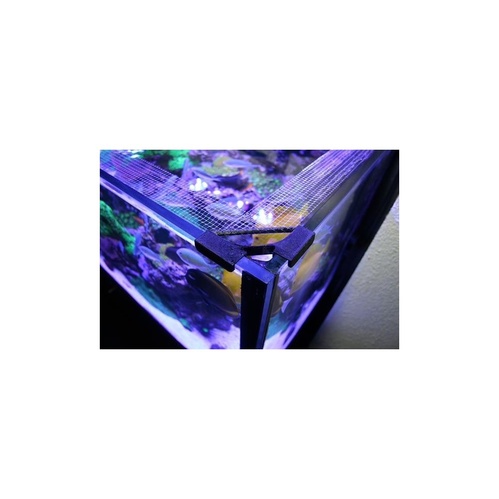 Banana Aquarium Fishguard - Grid