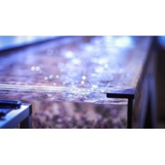 Banan Aquarium Fishguard - Gitter