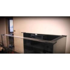 Banan Aquarium Fishguard - Gitter