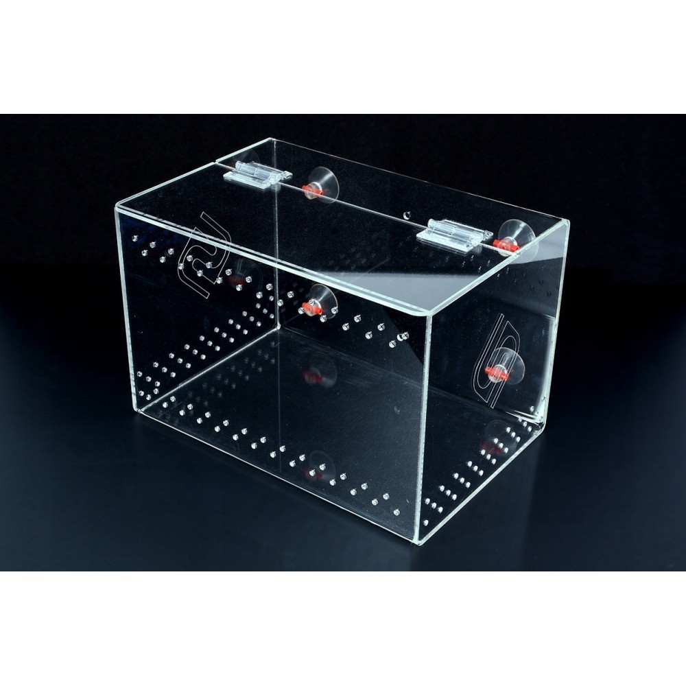 Kalabox 30x20x20 Acclimatization Container