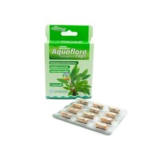 Aquaflora Casquettes complètes