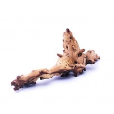 Korzeń tonący Mopani L 35-50 cm