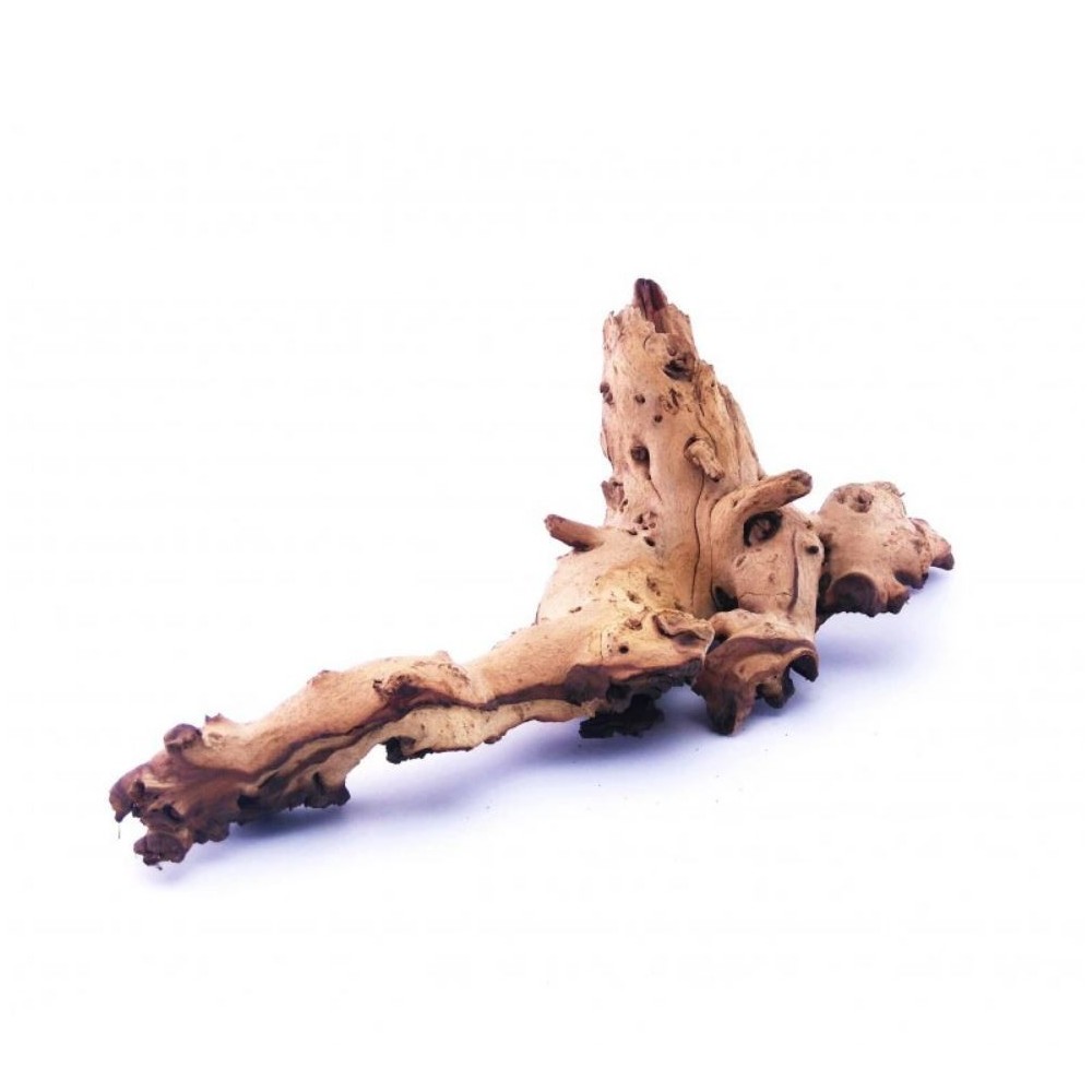 Tónovací kořen mopani l 35-50 cm