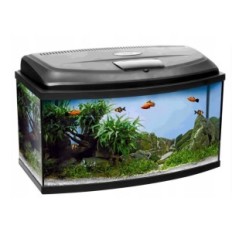 AQUAEL AQUARIUM SET CLASSIC BOX 60 LT profiiliga