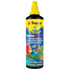 Bacto tropical actif 100ml