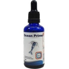 DVH Ocean Prime Copepodes liquide 500-700 microns 50ml