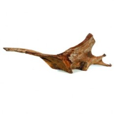 Aquael ρίζα mangro (m)