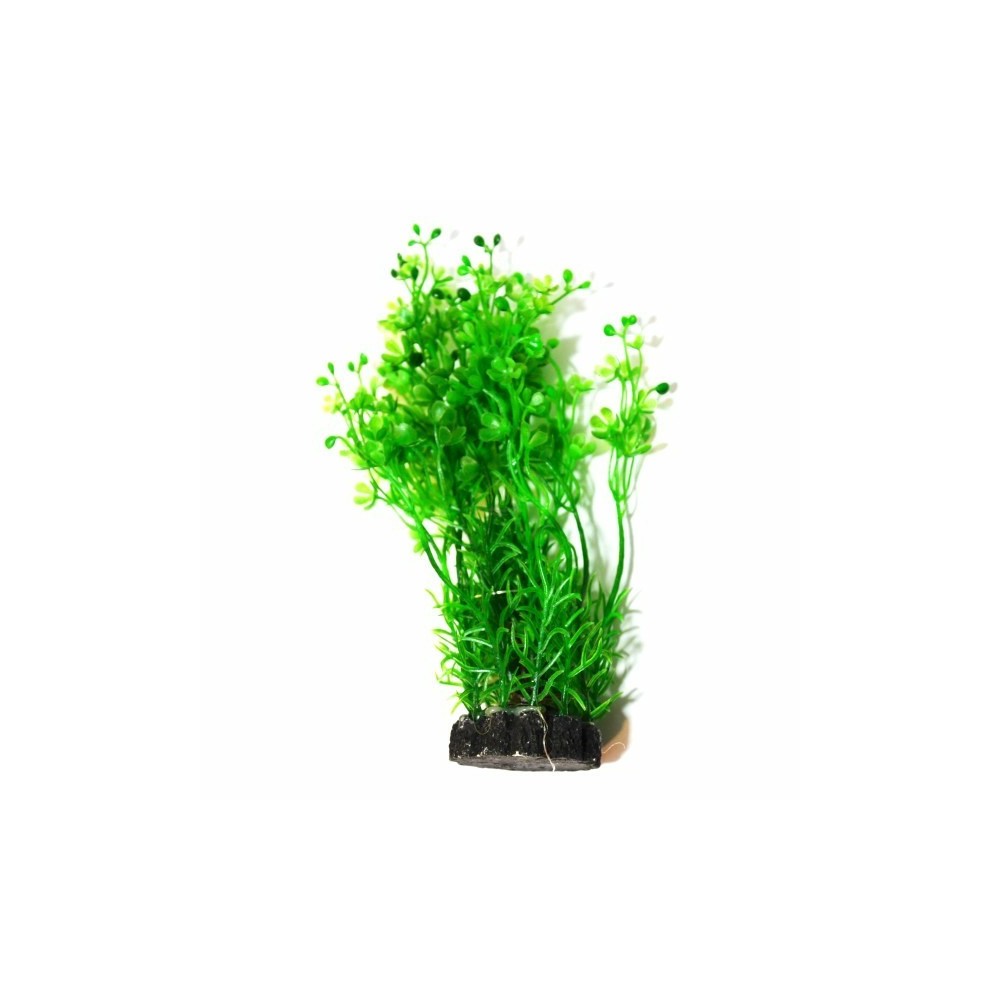 Plant Aquael Karpa CP-057 6 (15cm)