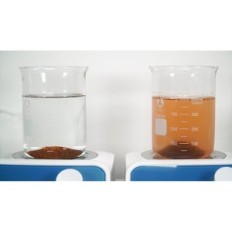 Maxpect Phosphree 250ml