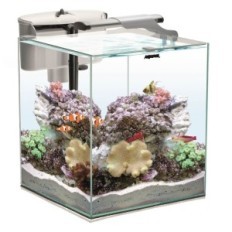 Aquael Set Nano Reef Duo 35 Bianco