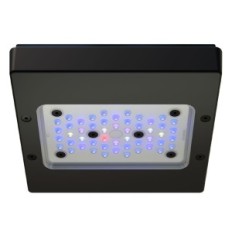 ECOTECH MARINE RADION XR15 G6 BLUE