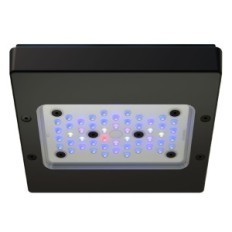 Ecotech Marine Radion XR15 G6 blauw