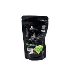 Reef Scorpionfish Aiptasiaout 30 ml készítmény aiptasia