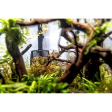 AQUAEL HYPERMAX 4500 Filter