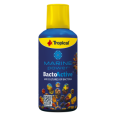 Tropical Bacto Active 250 ml-bakterid