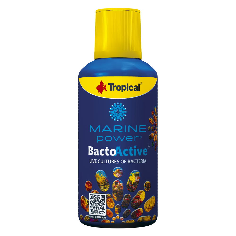 Tropical Bacto Active 250 ml-bakterid