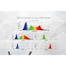 Maxpect LED RSXF 300 lampada