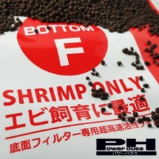 Bottom F - Substrato Mineral