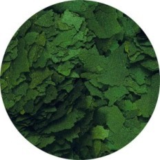 Super Spirulina Tropical Forte 36% 250 ml - 50 g