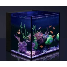Rdeča morska namizja Cube Aquarium - 70L AQUARIUM