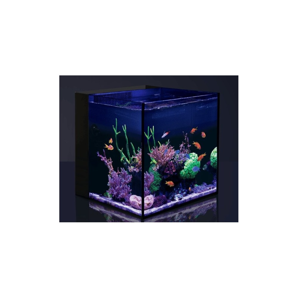 Rode zee Desktop Peninsula Aquarium - Aquarium 90L