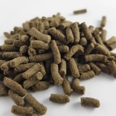 Molt asistence potravin / potravin podpory 30g