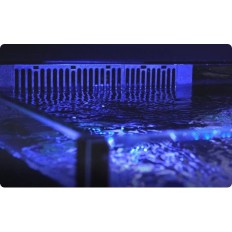 Raudonosios jūros akvariumas Max E-170 LED jūra akvariumas Set + spintelė