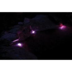 Pontec Pondostar LED RGBW Set 3 Iluminação para ilhós