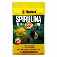 Super spiruline tropicale forte 36% 12g