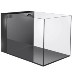 Aquarium Waterbox Cube 25 Penisola