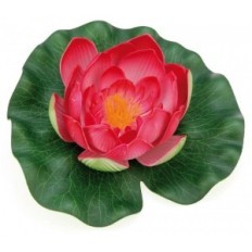 Pontec PondolilCity name (optional, probably does not need a translation)