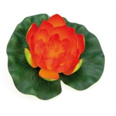 Pontec PondolilCity name (optional, probably does not need a translation)